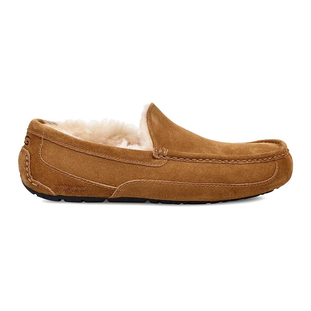 UGG Lifestyle Masculino Moda Ascot Chestnut